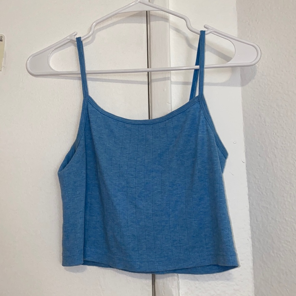 Brandy Melville Blue Skylar crop top